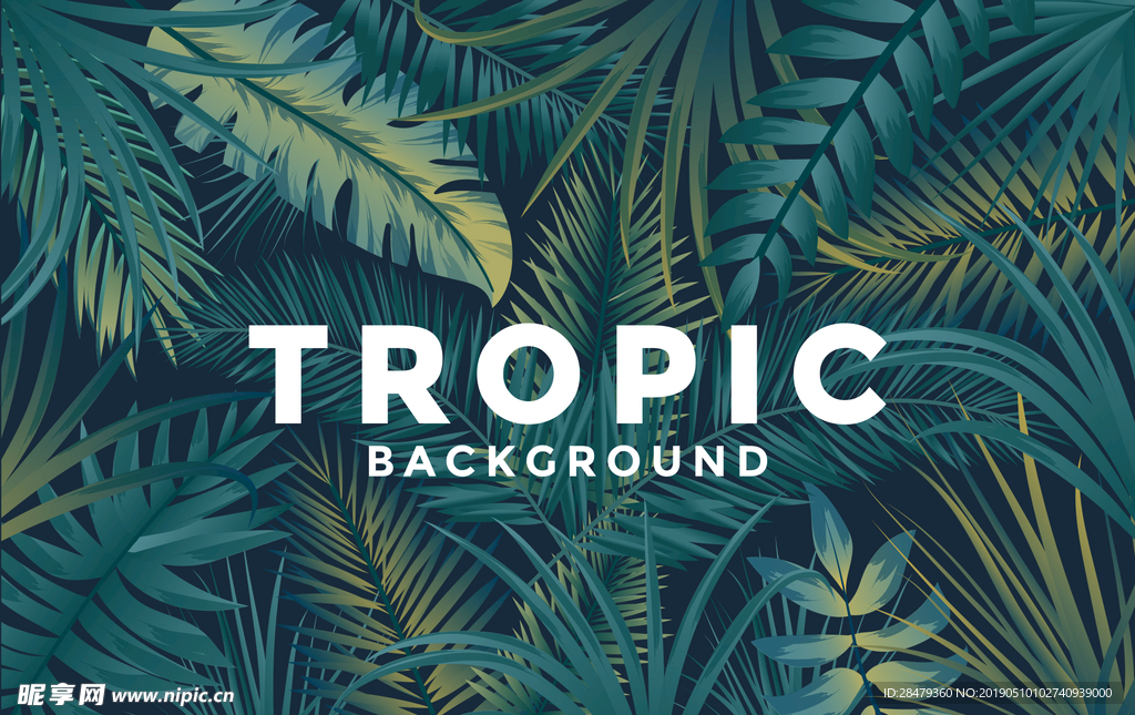 浓郁墨绿色热带丛林植物背景