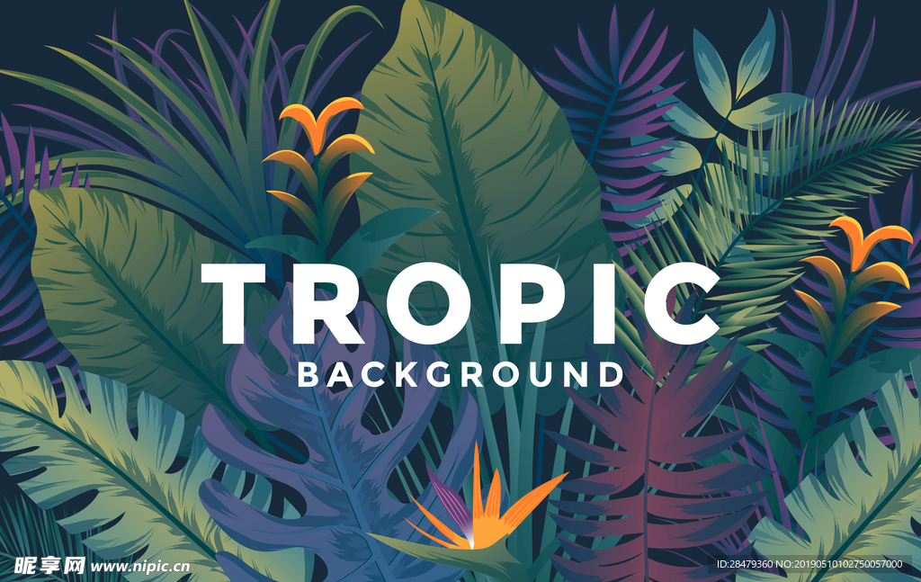 浓郁墨绿色热带丛林植物背景