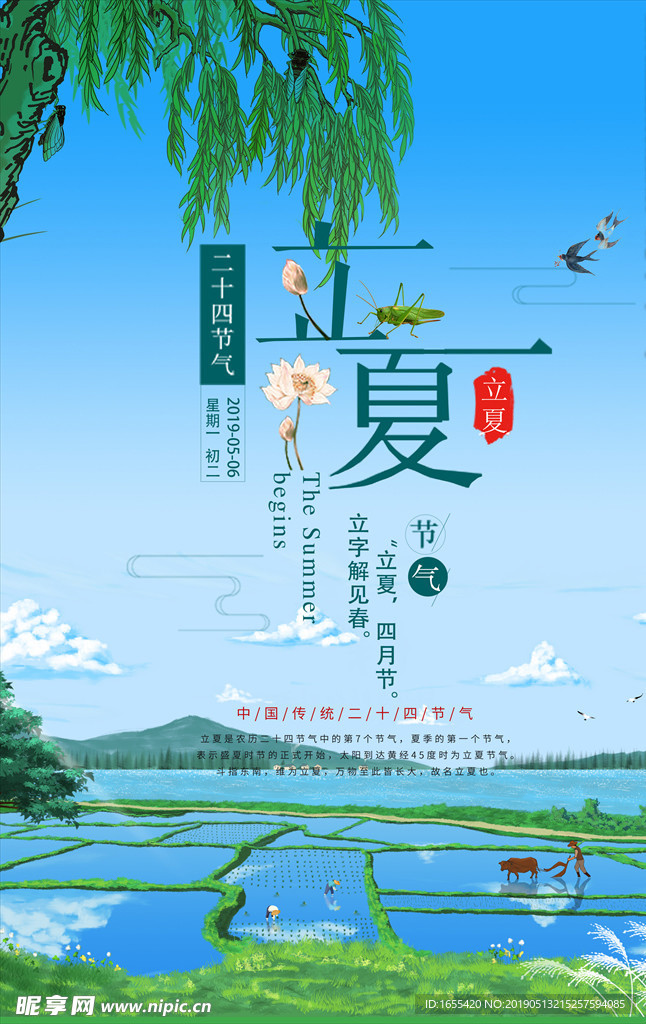 立夏 夏令营海报