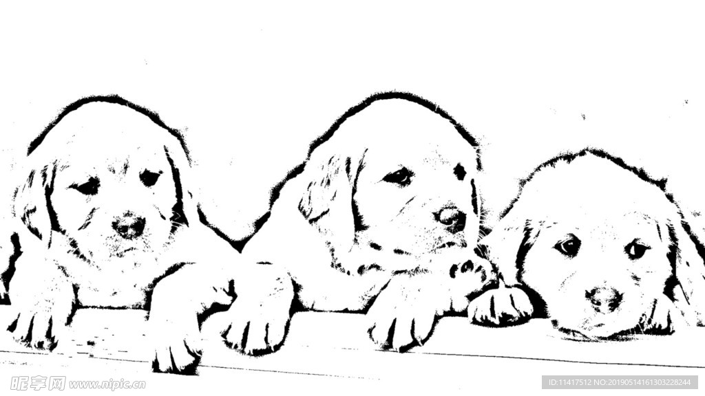 狗素描图