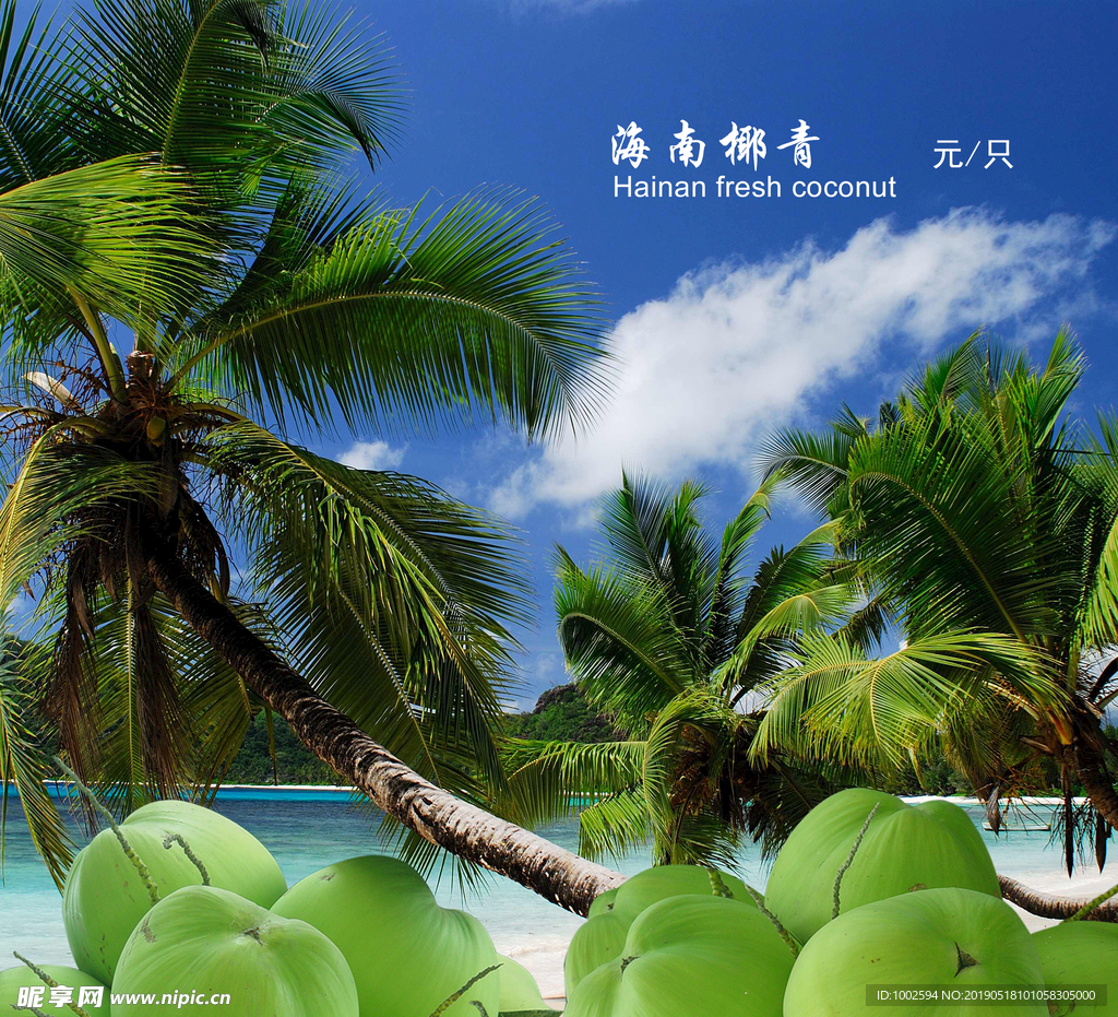 海南椰子