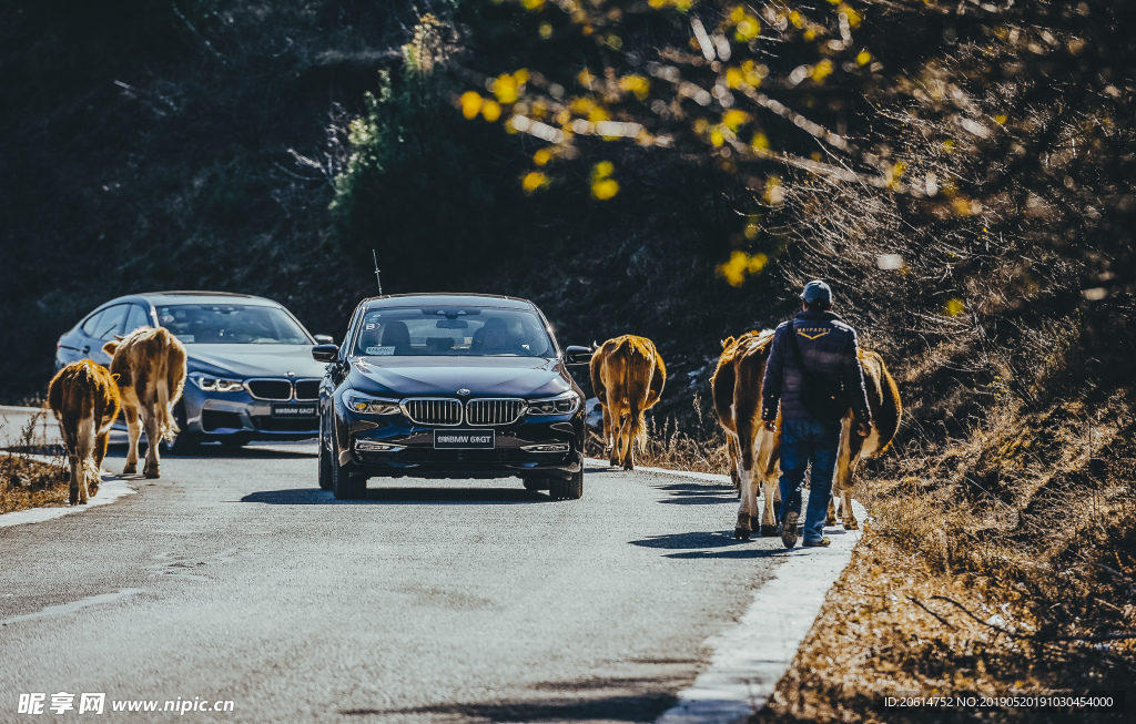 路上行驶的汽车