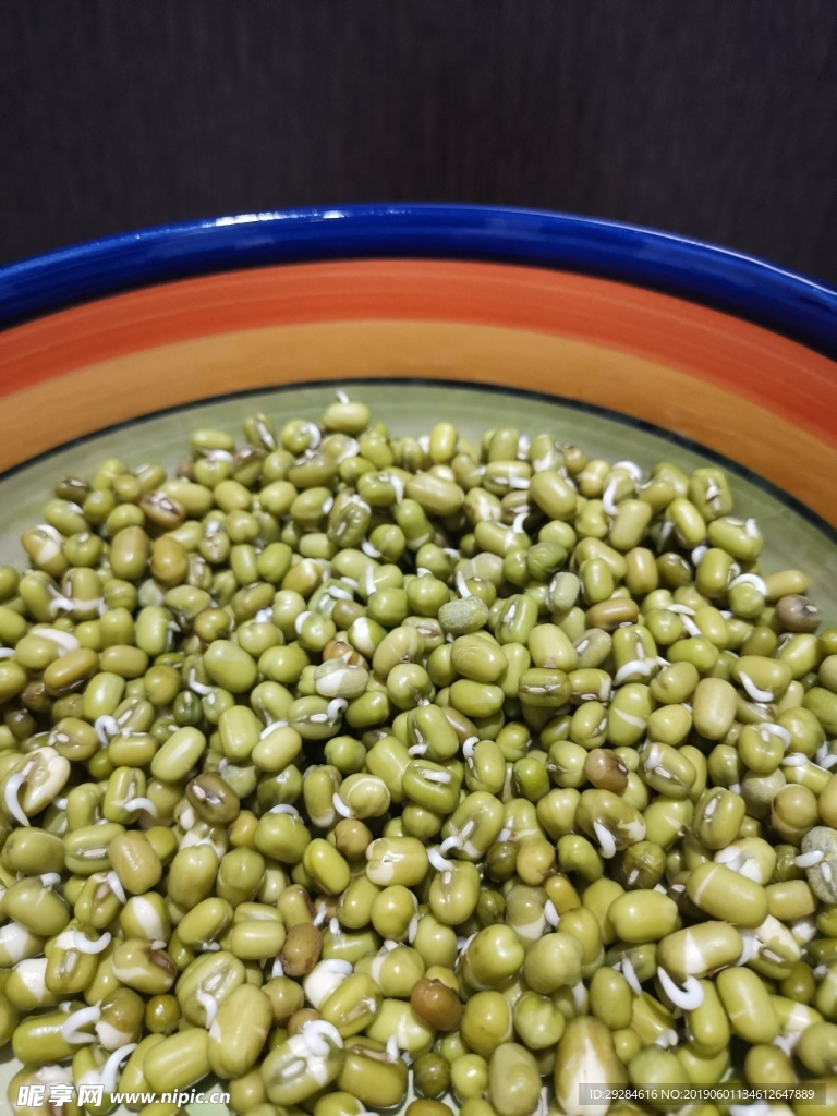 一碗发芽的绿豆