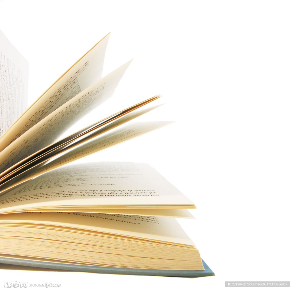 高清纸纹 宣纸 洒金宣纸 装裱