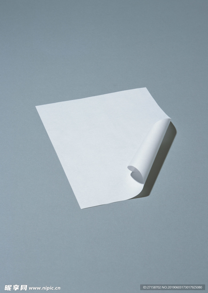 高清纸纹 宣纸 洒金宣纸 装裱