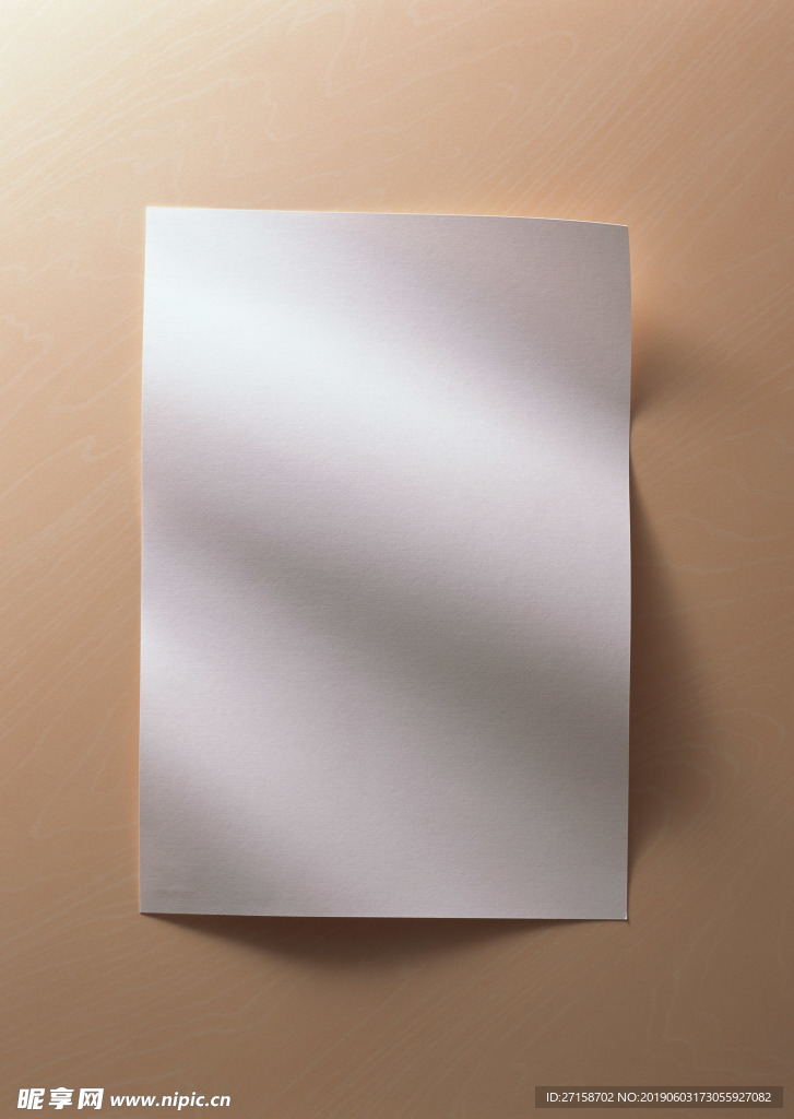 高清纸纹 宣纸 洒金宣纸 装裱