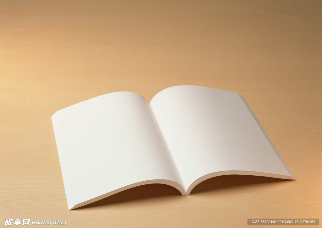 高清纸纹 宣纸 洒金宣纸 装裱