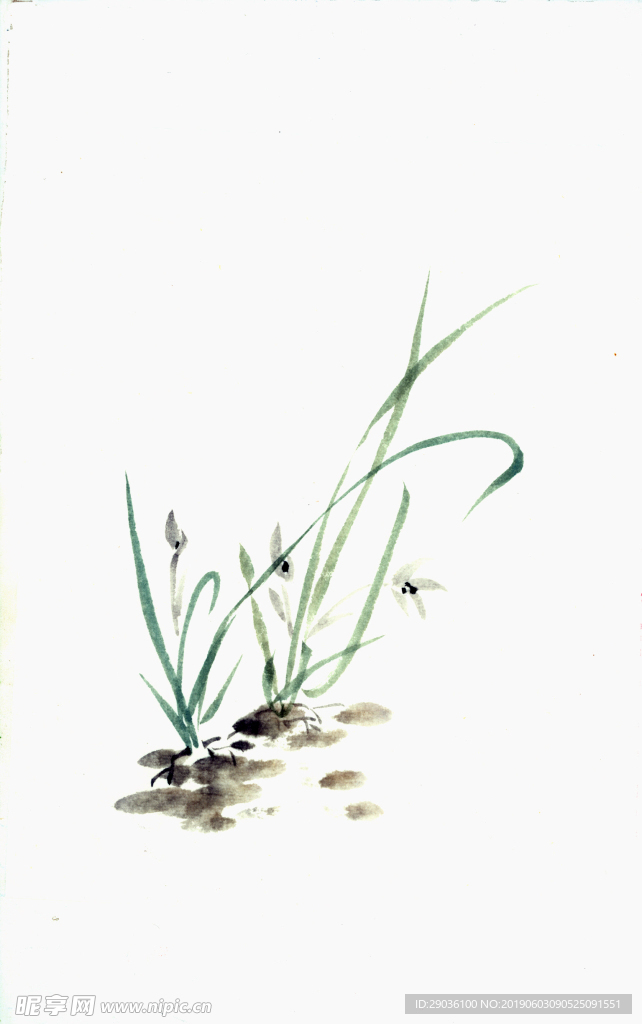 写意兰草