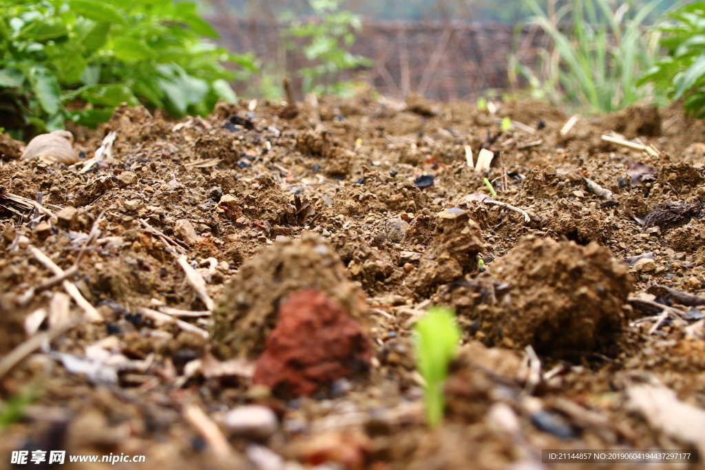 土地 细节 田地 落叶 乡土