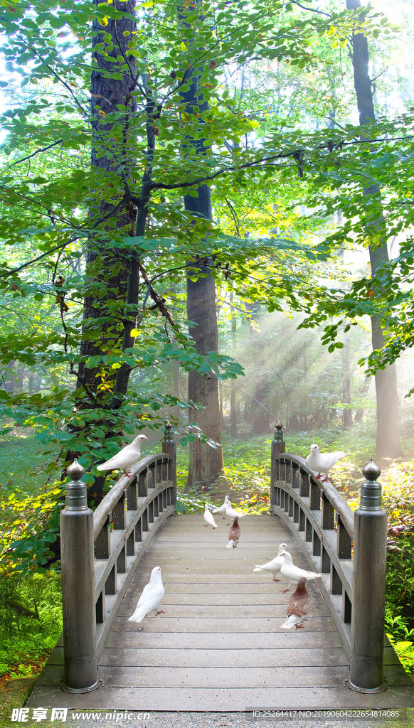 风景画木桥客厅玄关中式背景墙