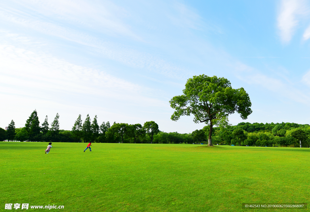 绿色草地上小孩奔跑