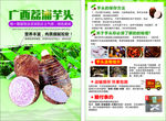 广西荔浦芋头宣传单海报DM单