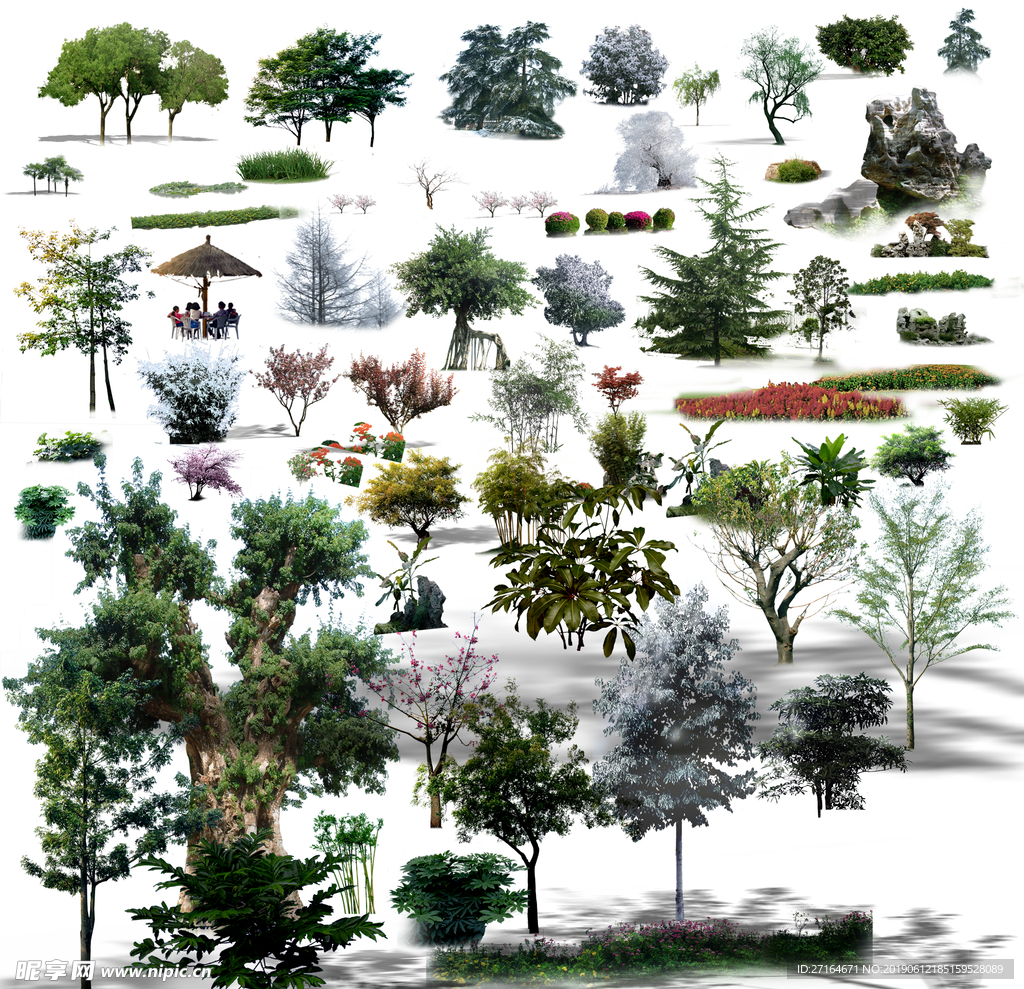 常用植物鸟瞰植物素材