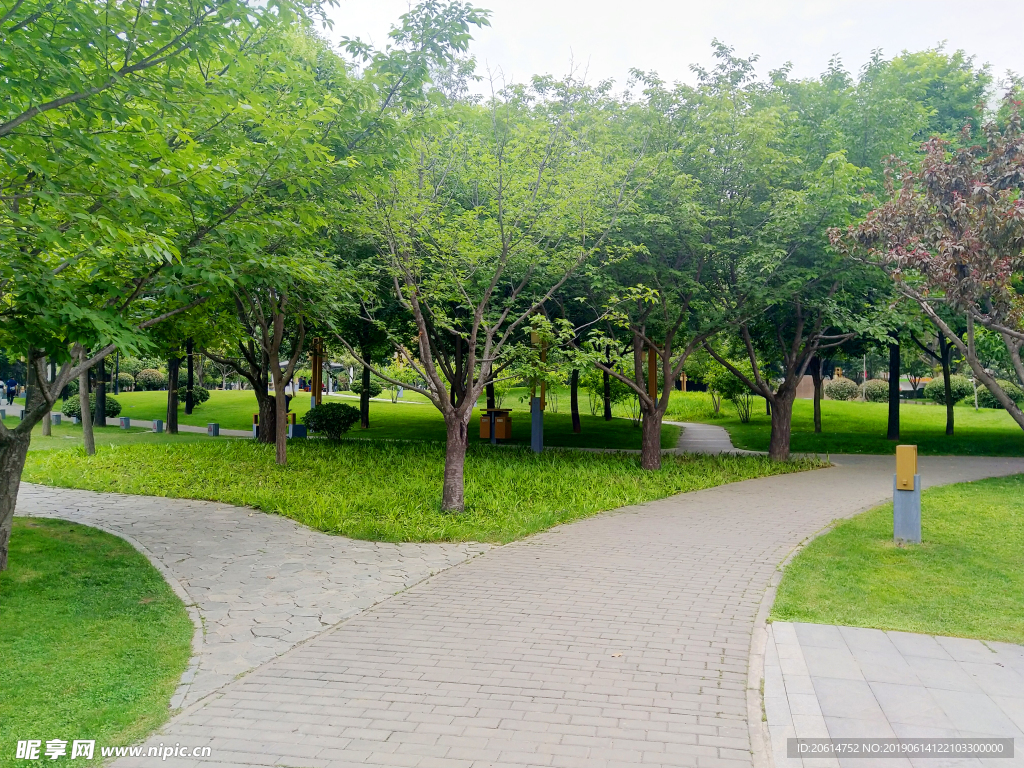 美丽的公园风景