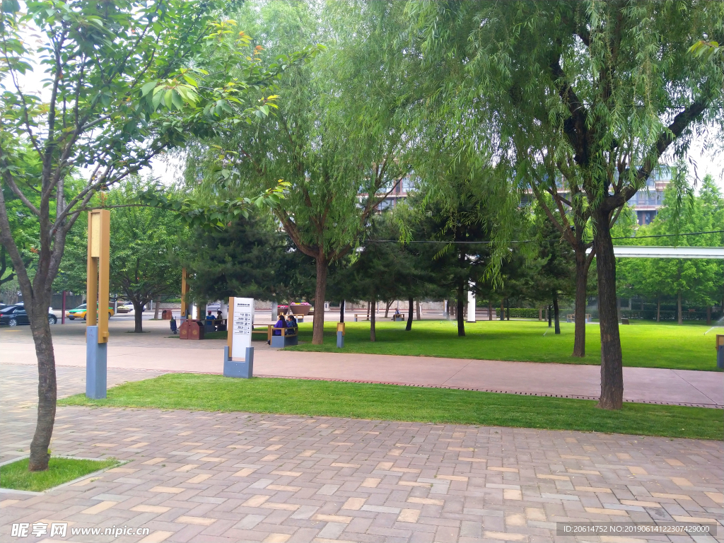 清凉的公园风景