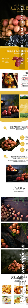 爆款农产品土豆详情