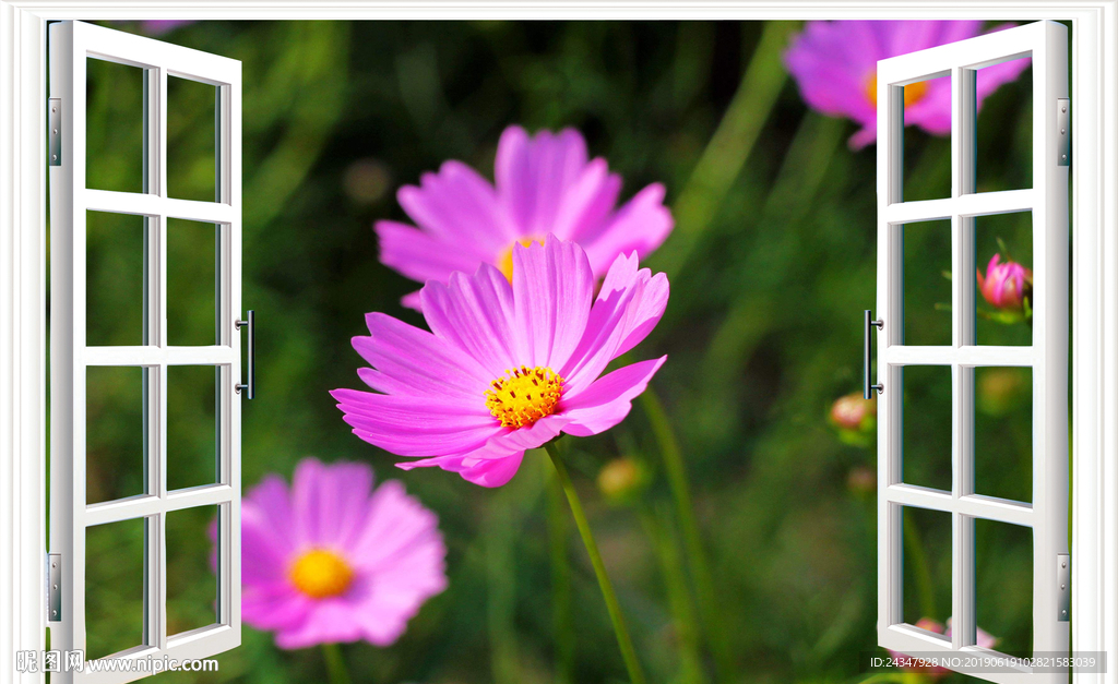 3D立体窗户唯美格桑花风景