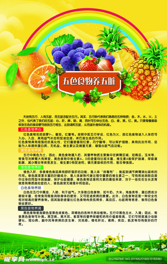 膳食 营养 规划 宣