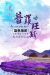薰衣草风景海报设计