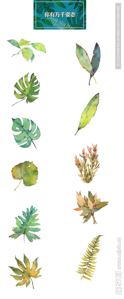 叶子素材