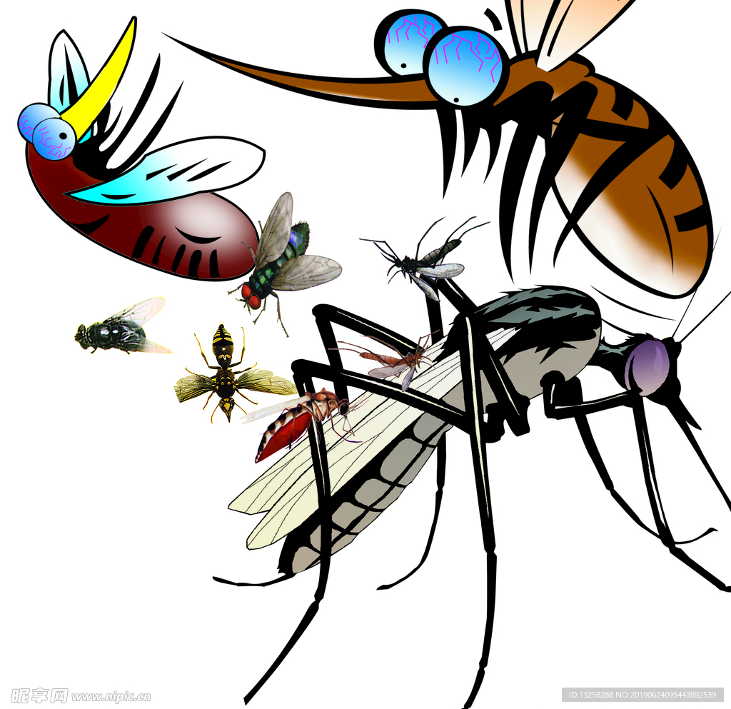 苍蝇蚊子