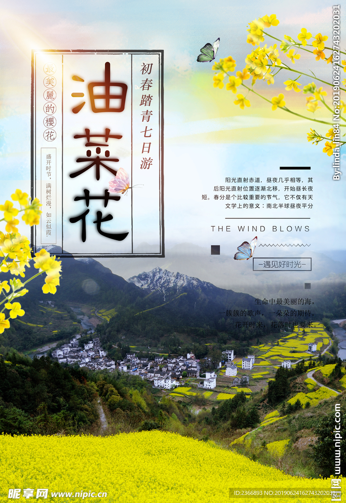 踏青旅游油菜花海报