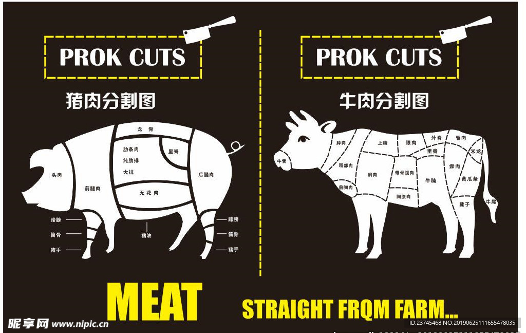 猪肉分割图