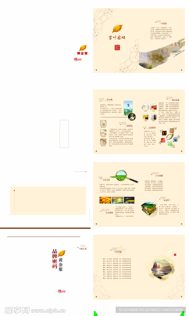 黄金叶 产品画册  黄金叶文化