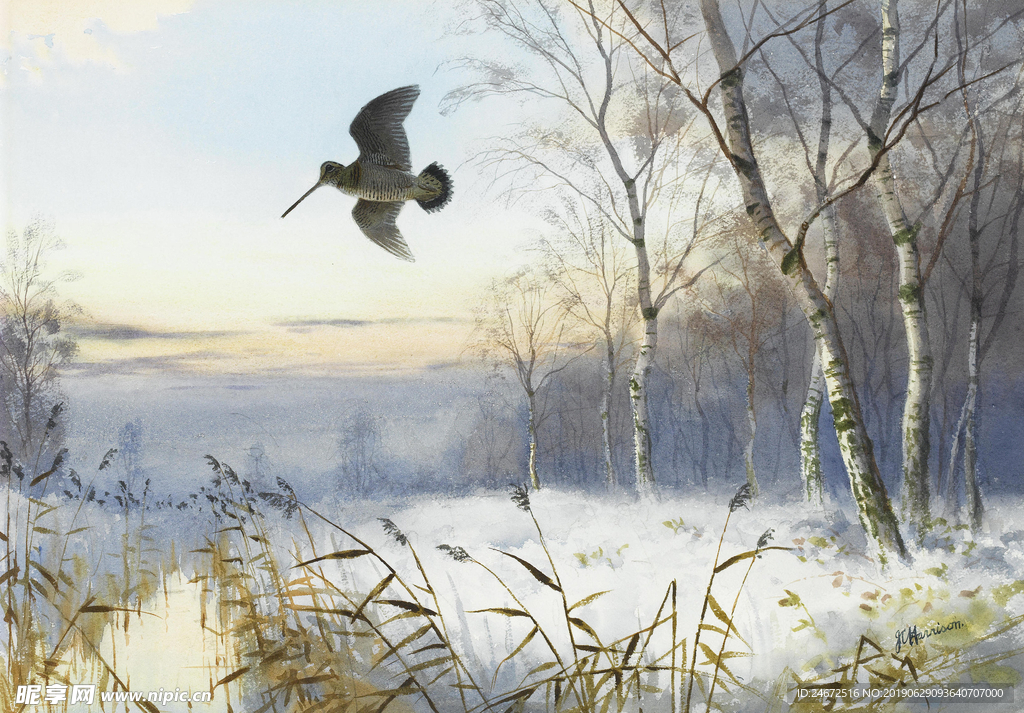 雪景 啄木鸟油画