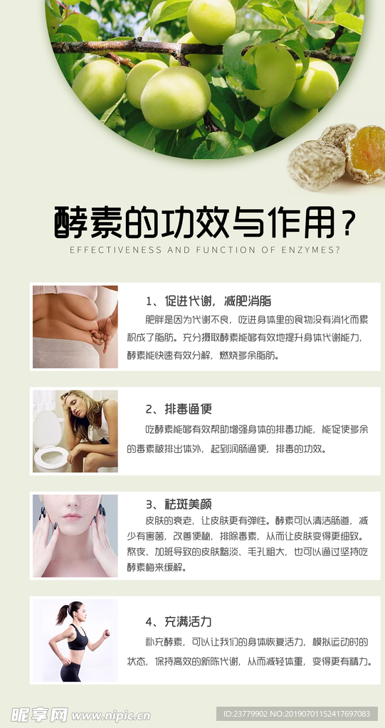 酵素功效