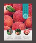 水蜜桃海报