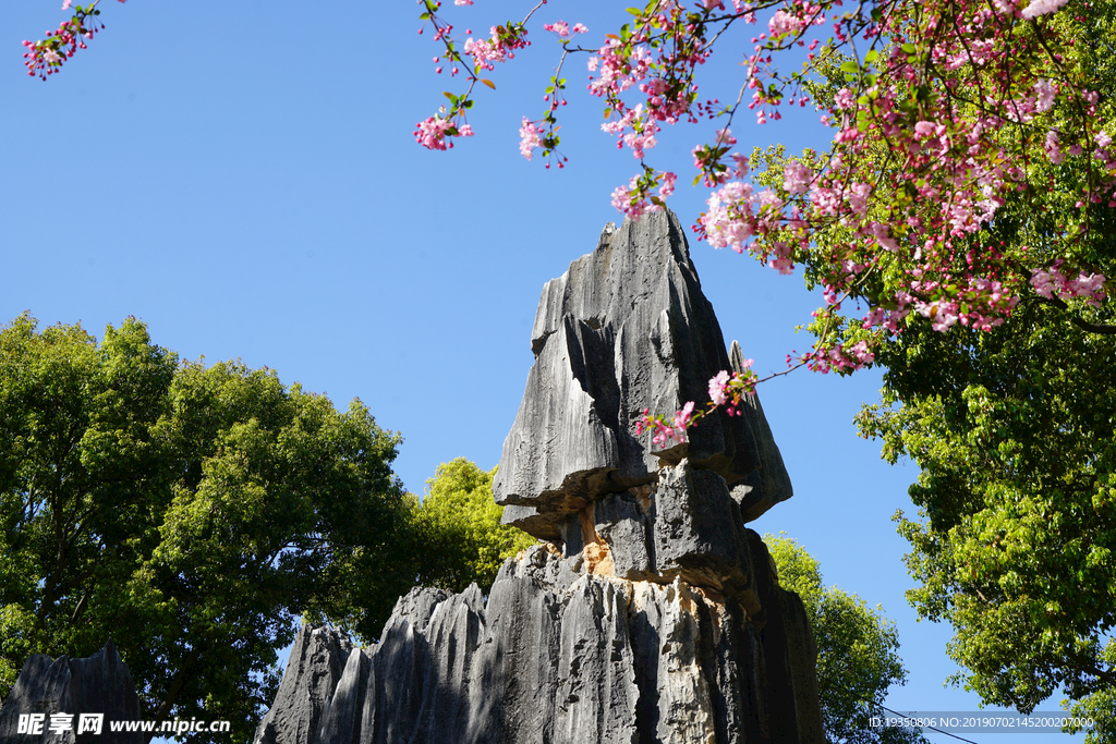 云南石林景区的风景