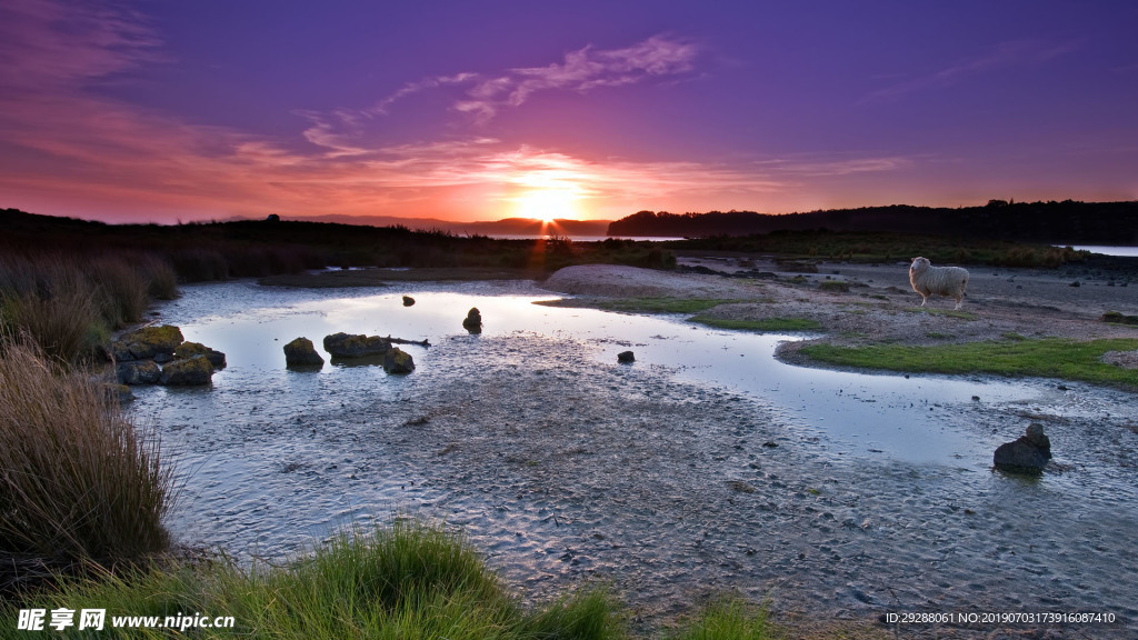 自然景观宁静的河