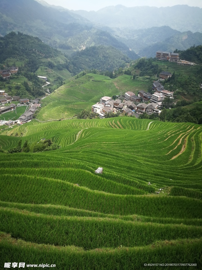龙脊梯田   原生态