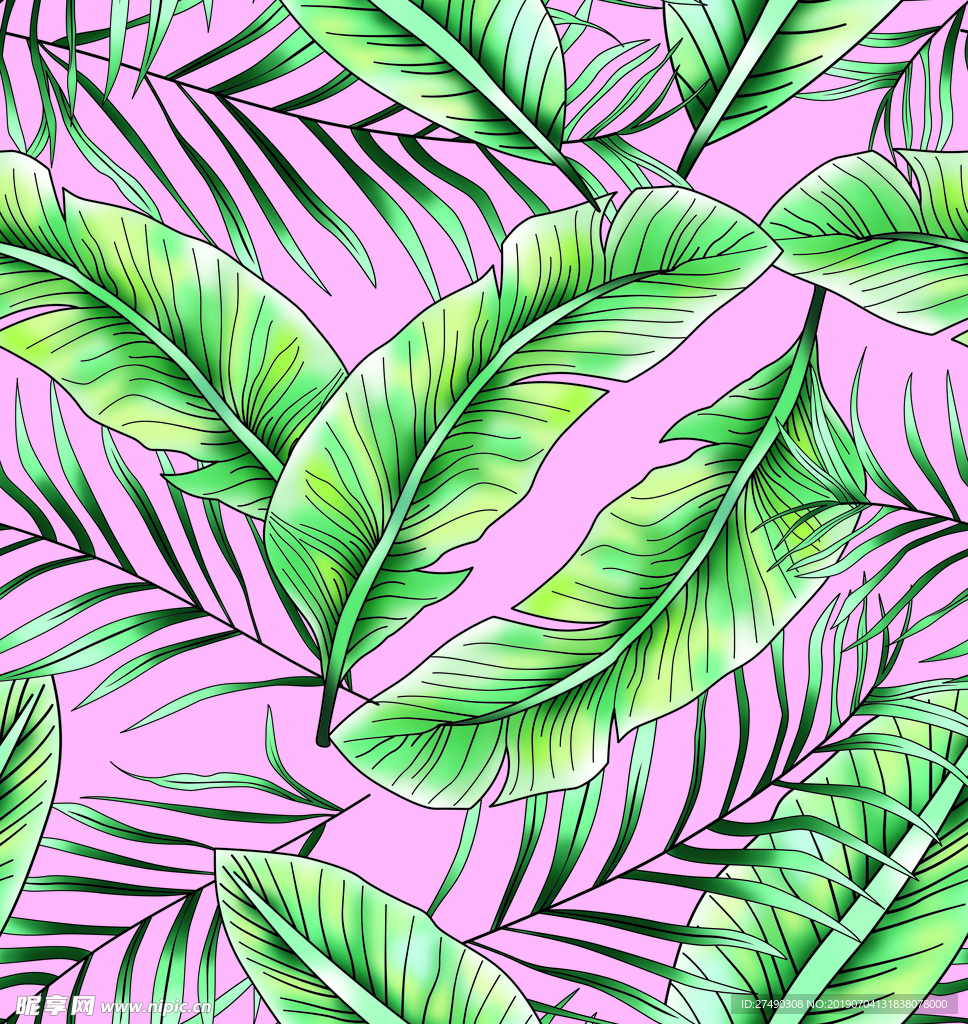 芭蕉叶 棕榈叶 热带叶