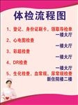 体检流程图