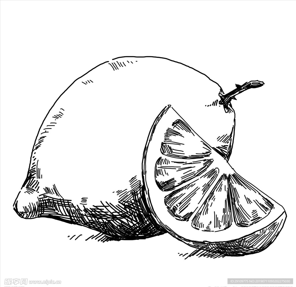 手绘柠檬