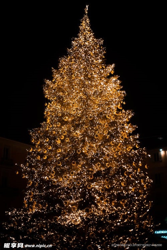 被点燃的圣诞树