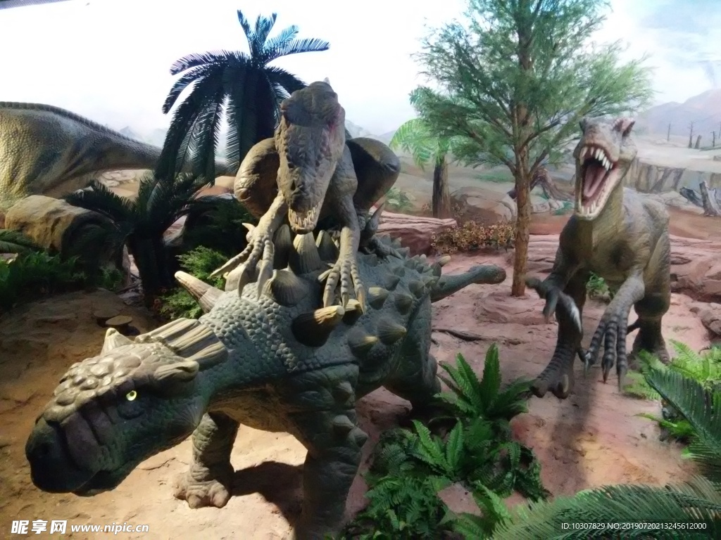 霸王龙 剑龙 恐龙