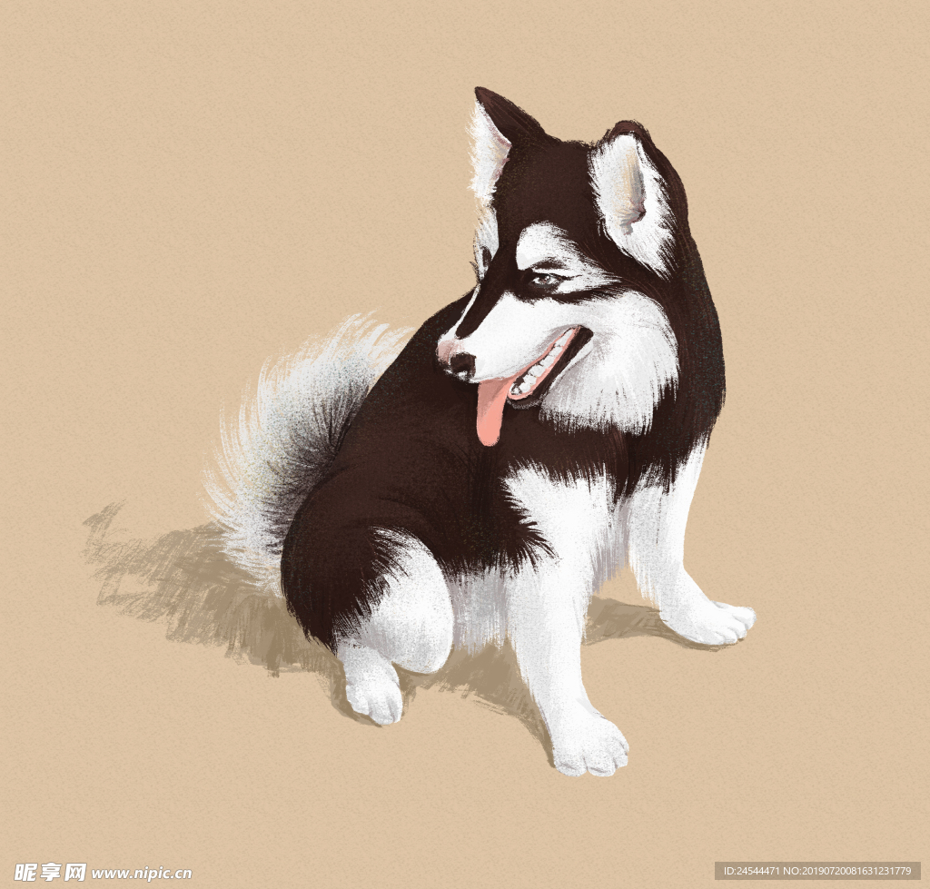 手绘阿拉斯加狗