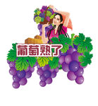 超市葡萄吊牌