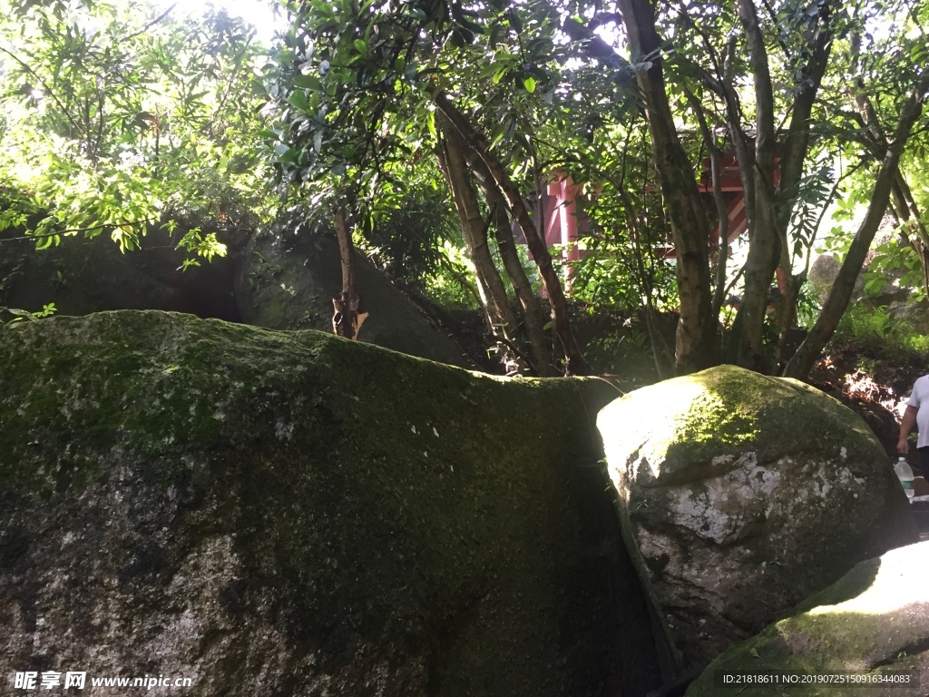 树荫下满是苔藓的岩石