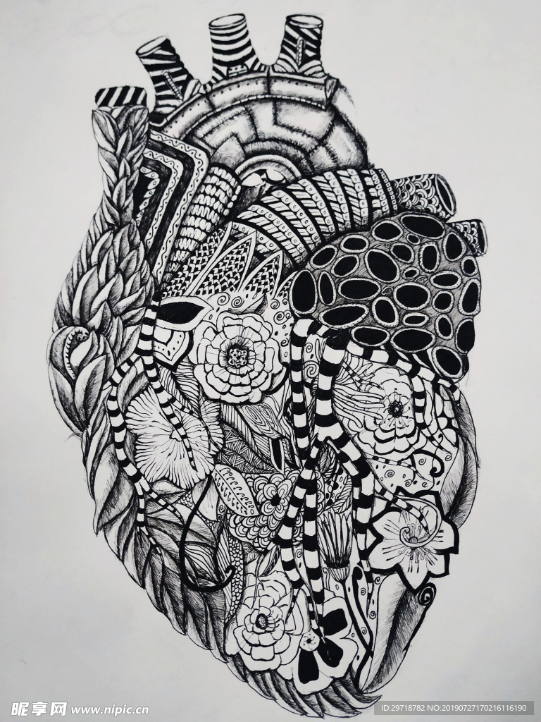 插画心脏