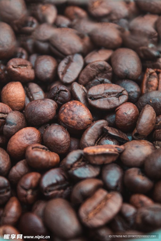 咖啡与咖啡生活