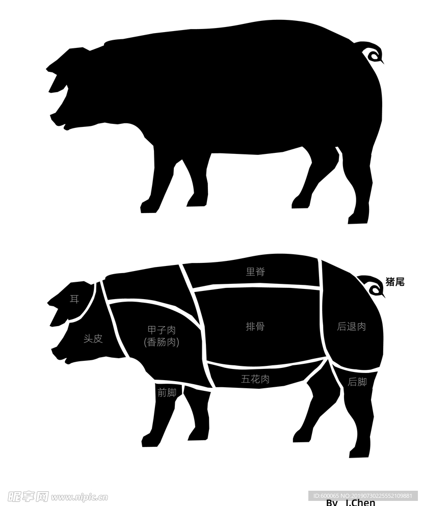 猪体猪肉结构分区
