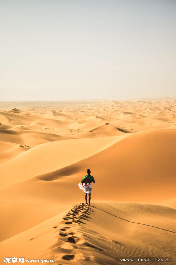 沙漠  黄色  企业文化