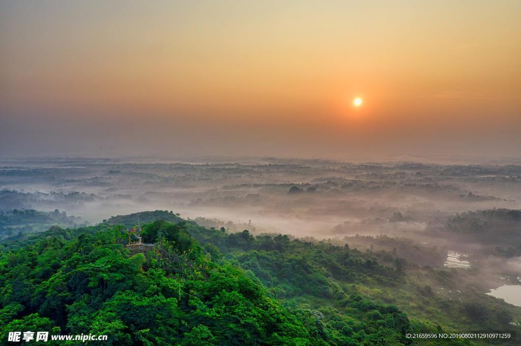 晚霞 森林  雾朦胧的森海