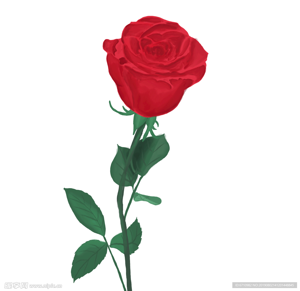 手绘红色玫瑰