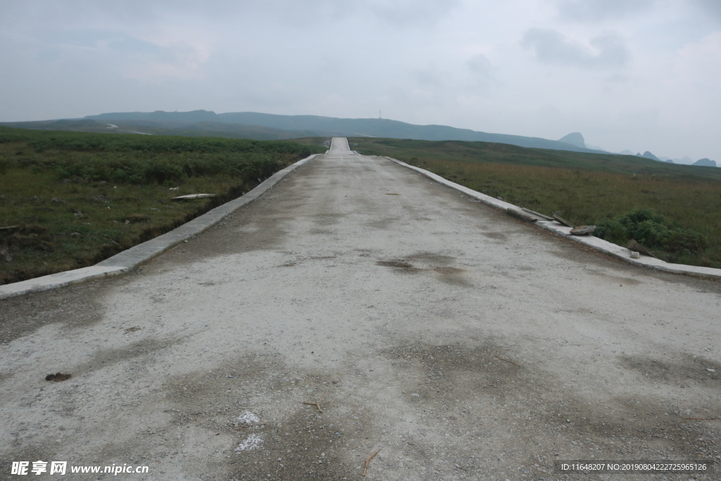 草原 马路 公路 大草原