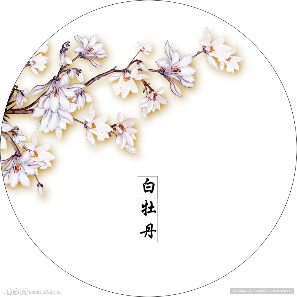 茶饼模板-白牡丹3